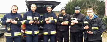 Fundacja Ogon do Góry i strażacy z Piotrowic dotarli do psiej rodziny w lesie