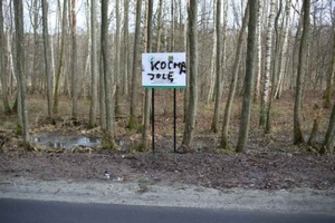 Wyznanie miłości na tablicy przy drodze do Kłopotowa