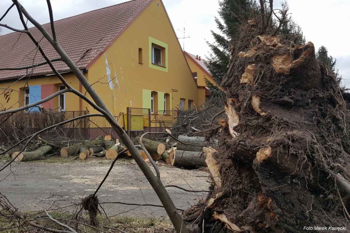 Wichura powaliła drzewo na budynek szkoły w Czerninie