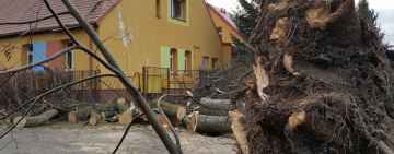 Wichura powaliła drzewo na budynek szkoły w Czerninie