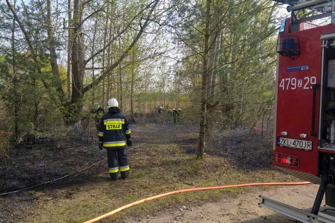 Interwencja strażaków z Czernina i Dygowa w Bogucinie
