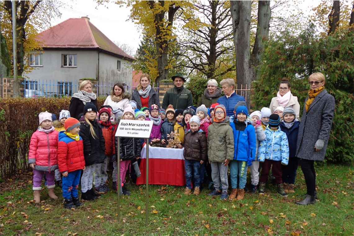 Dąb otrzymał imię Marszałek