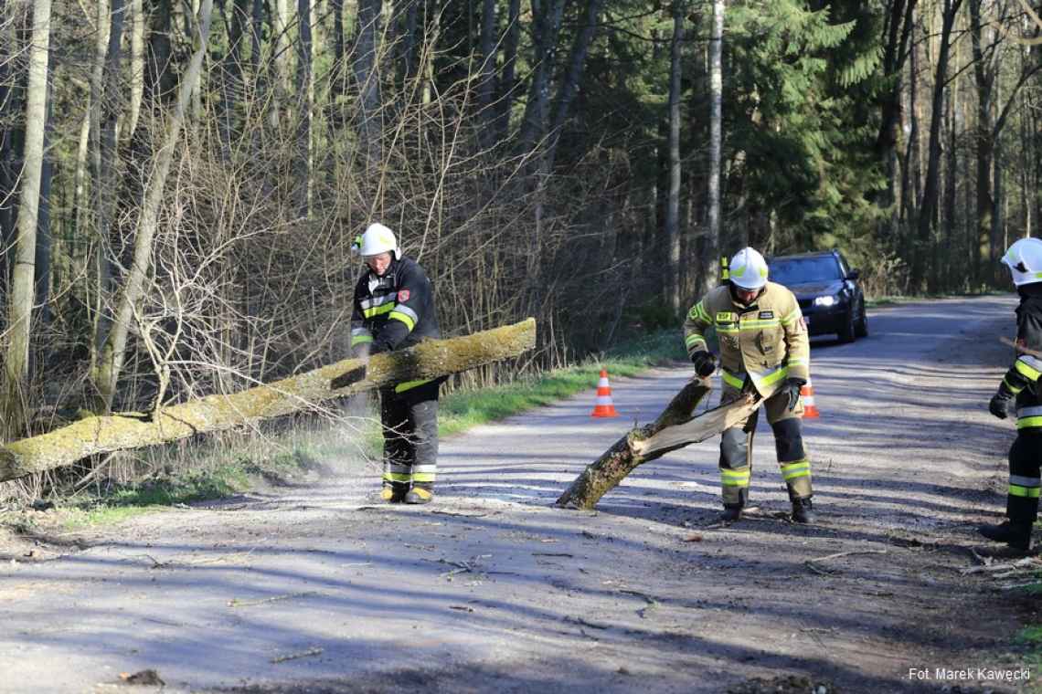 Drzewo powalone przez wiatr blokowało ruch na drodze powiatowej