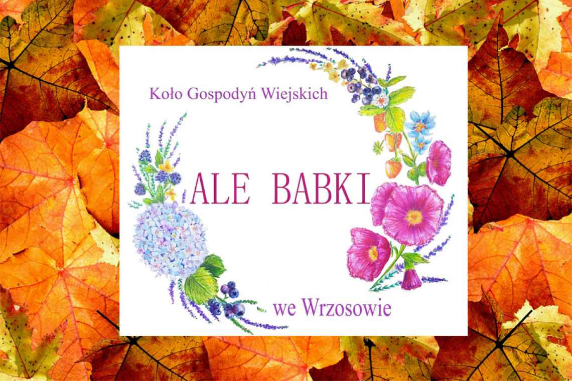 Głosujmy na Koło Gospodyń Wiejskich „Ale Babki” z Wrzosowa