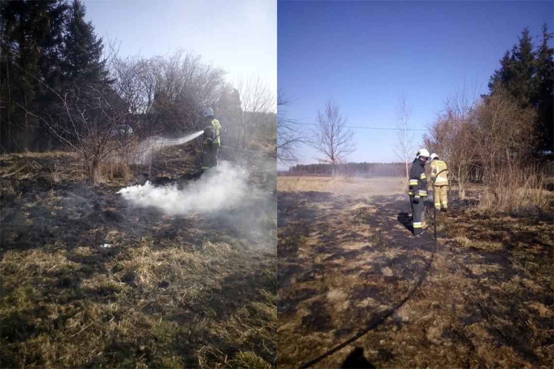 Wypalanie traw – niebezpieczny proceder dla ludzi i przyrody