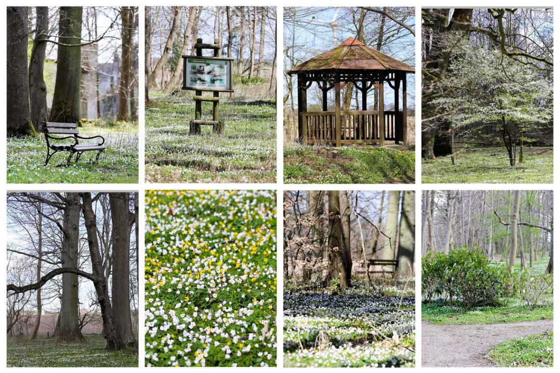 Park we Wrzosowie zachwyca wiosną. Oaza spokoju i wyciszenia